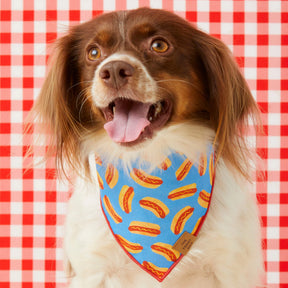 The Foggy Dog - Bandana Dog Hot Diggity