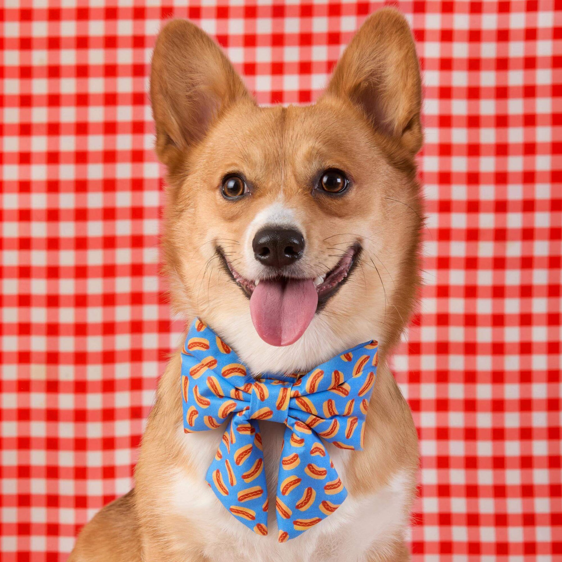 The Foggy Dog - Dog Bow Lady Hot Diggity