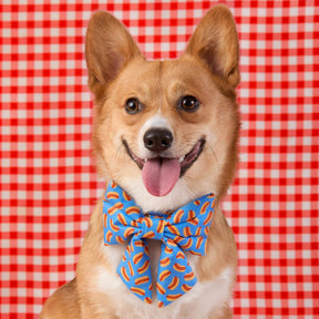 The Foggy Dog - Dog Bow Lady Hot Diggity