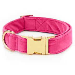The Foggy Dog - Dog Collar Hot Pink Velvet