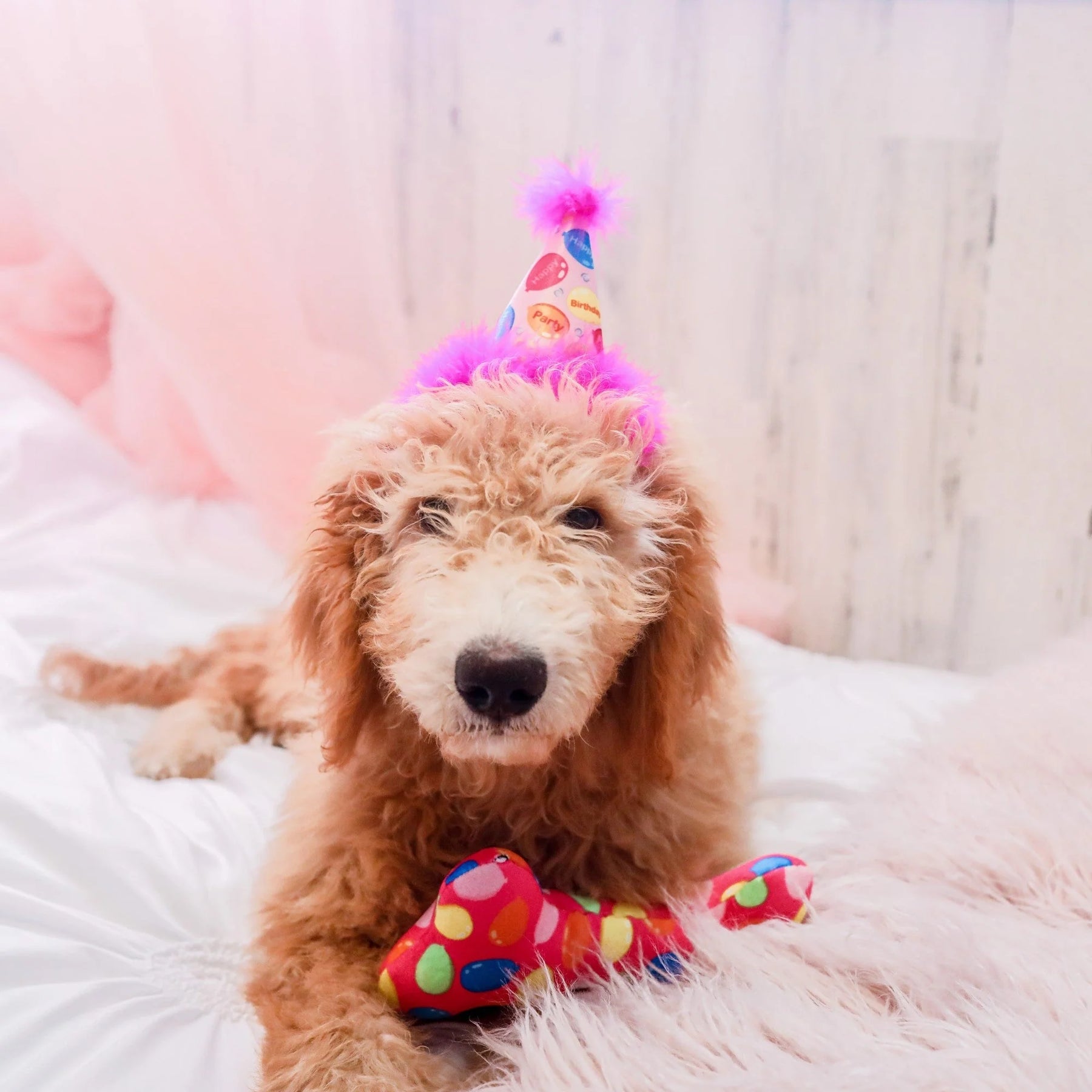 Huxley & Kent - Hat Party Time W/ Snug Fit