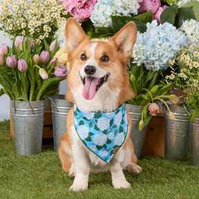 The Foggy Dog - Bandana Dog Hydrangea