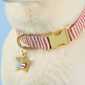 The Foggy Dog - Collar Charm I Heart America Summer