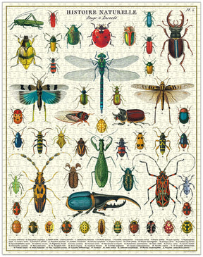 Cavallini & Co. - Puzzle Bugs & Insects - Southern Agriculture 