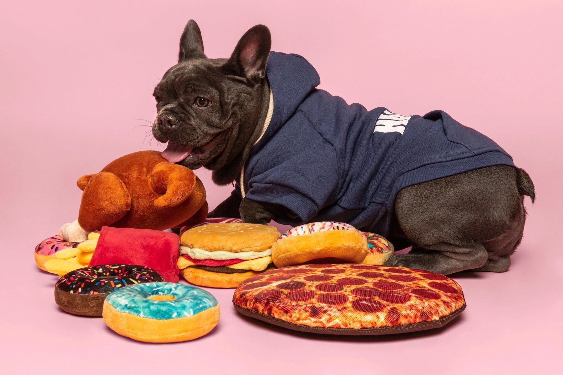 fabdog -Box of Pizza Dog Toys