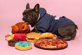 fabdog -Box of Pizza Dog Toys