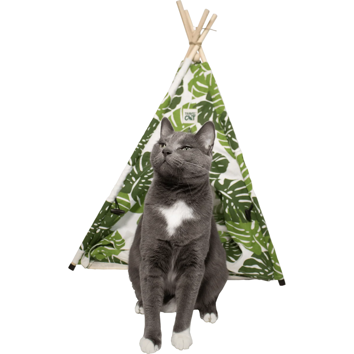 Travel Cat - Tent Bed For Cats Monstera