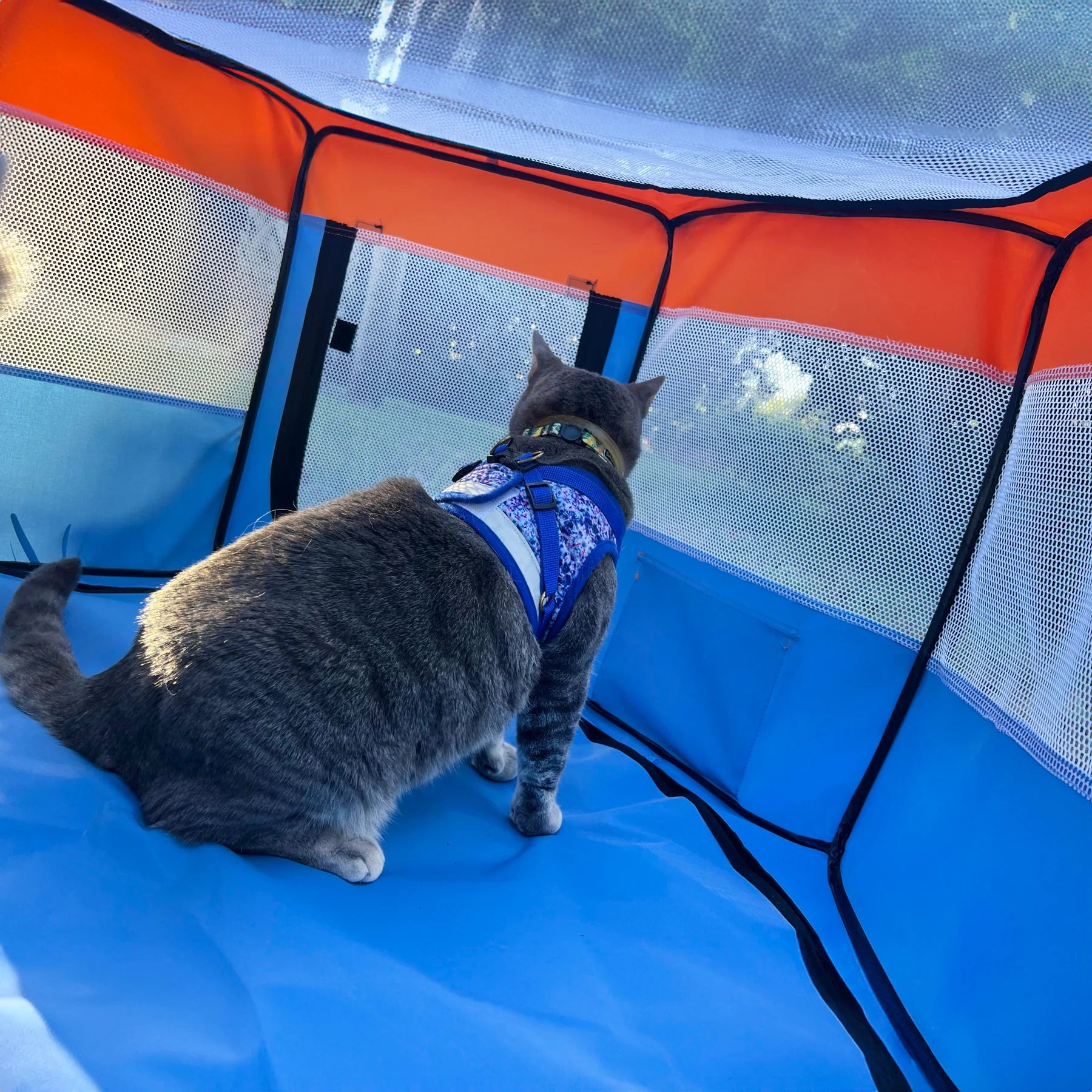 Travel Cat - "The Feline Fun House" Portable Play Tent