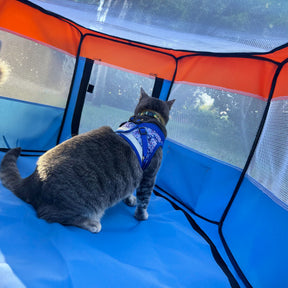 Travel Cat - "The Feline Fun House" Portable Play Tent