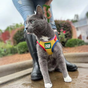 Travel Cat - Harness & Leash Set - "The Rainbow"