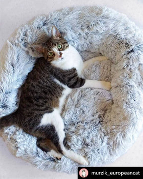 Mr. Peanut's - Ortho Plush Pet Bed Two Tone White 23"