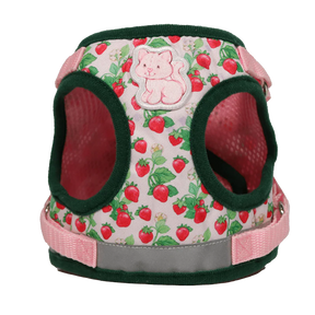 Travel Cat - Harness & Leash Set - "Strawberry Shortcake" - Southern Agriculture 