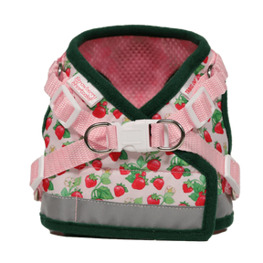Travel Cat - Harness & Leash Set - "Strawberry Shortcake" - Southern Agriculture 