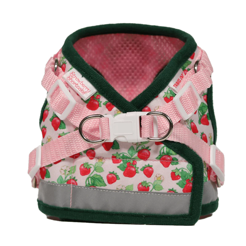 Travel Cat - Harness & Leash Set - "Strawberry Shortcake" - Southern Agriculture 