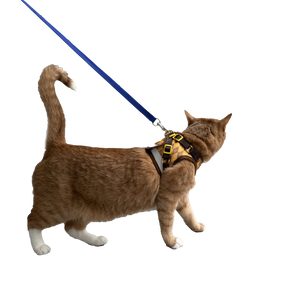 Travel Cat - Argylle X Travel Cat Harness & Leash