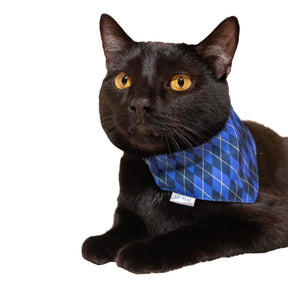 Travel Cat - Argylle X Travel Cat Collar & Bandana Set