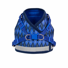 Travel Cat - Argylle X Travel Cat Harness & Leash