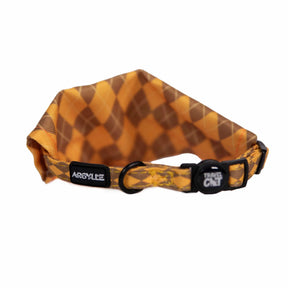 Travel Cat - Argylle X Travel Cat Collar & Bandana Set