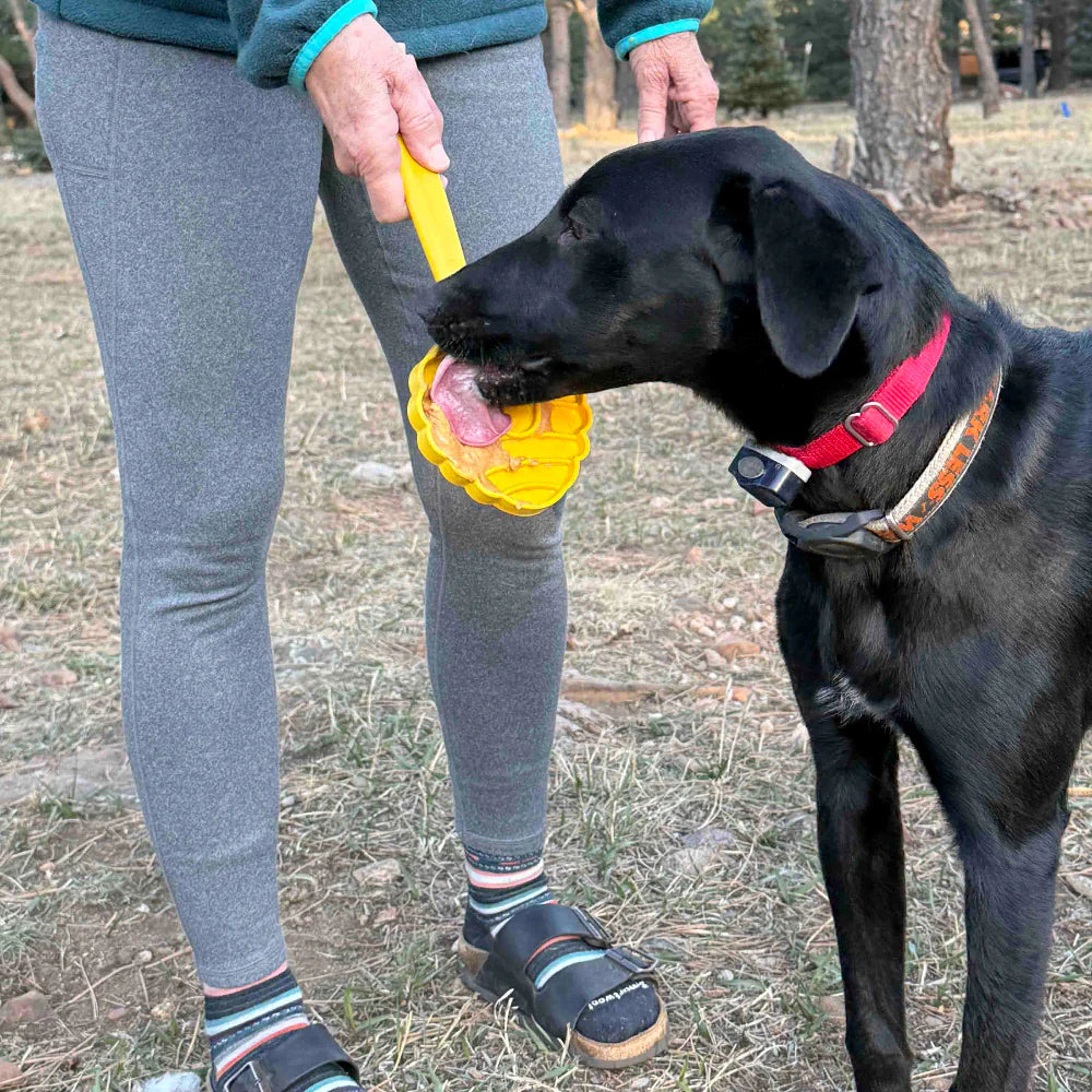 Lick Stick Hand-Held Interactive Enrichment Toys