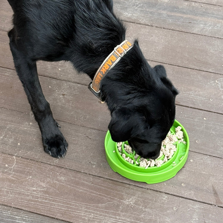 Enrichment Dog Lick Mat - Garden Design with Suction Cups