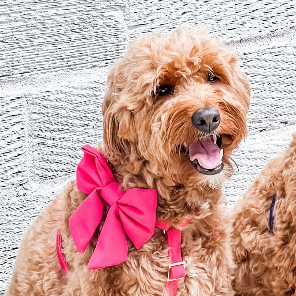 The Foggy Dog - Lady Dog Bow Hot Pink