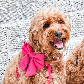 The Foggy Dog - Lady Dog Bow Hot Pink