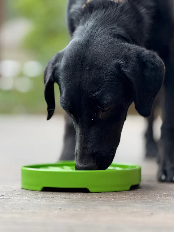Enrichment Dog Lick Mat - Garden Design with Suction Cups