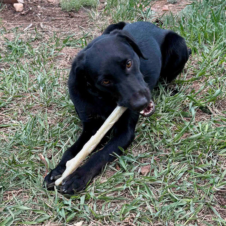 SodaPup - Chew Stick Durable Nylon