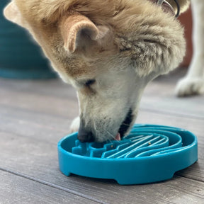 eTray Shallow Slow Feeder Bowl Baja Design