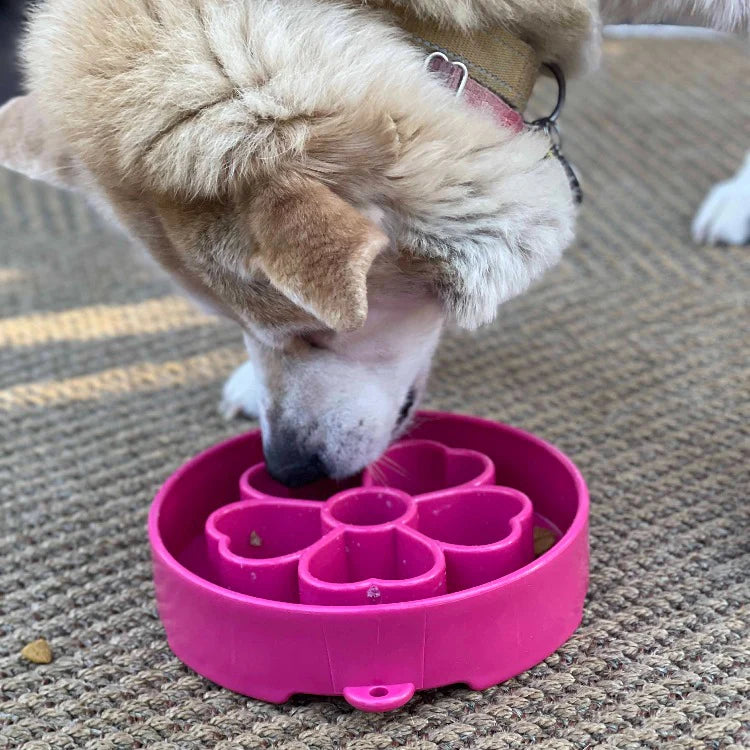 SodaPup - eBowl Enrichment Slow Feeder - Bowl Flower Design