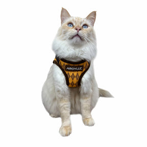 Travel Cat - Argylle X Travel Cat Harness & Leash