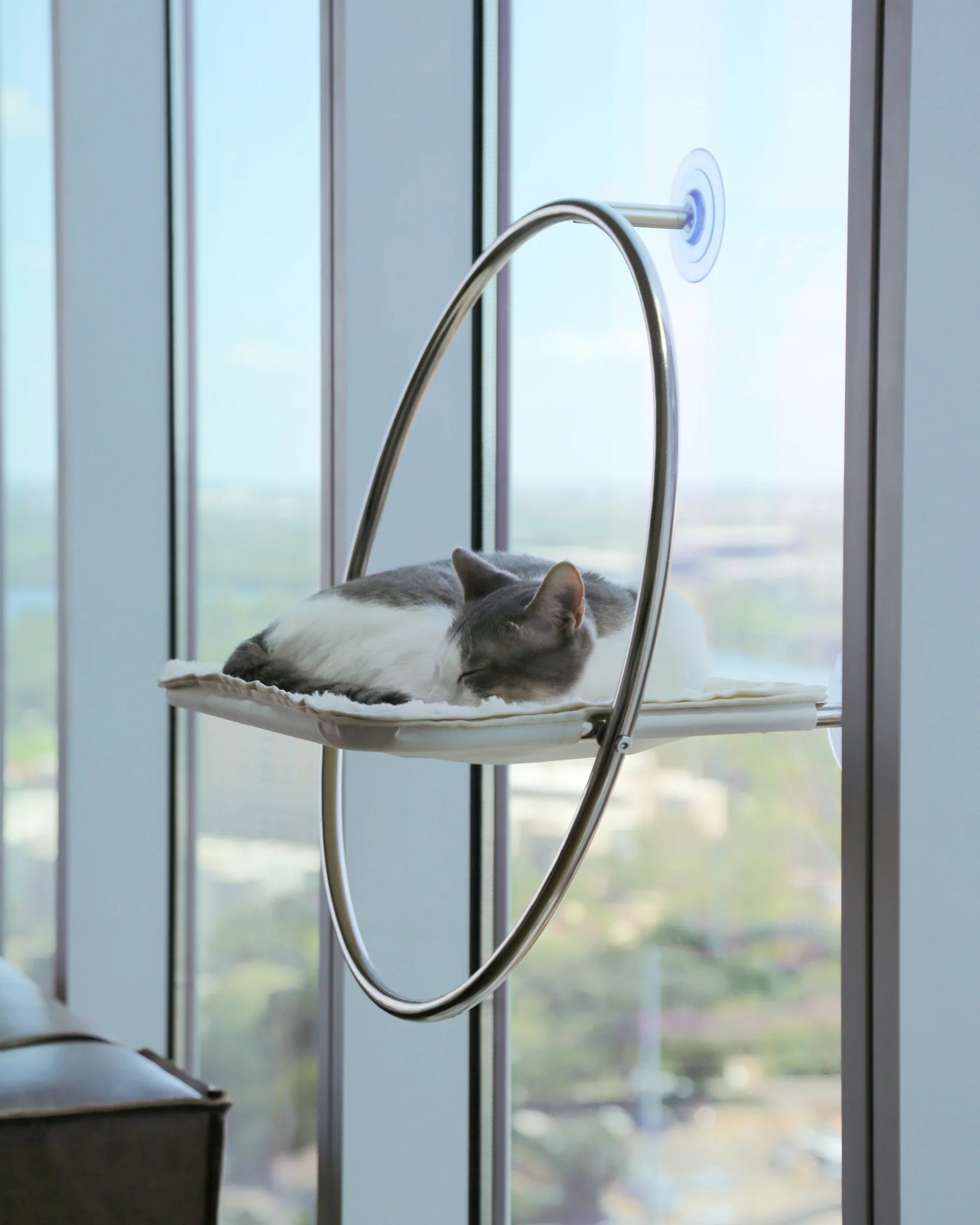 Catenary Home - Window Perch For Cats