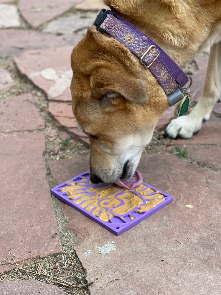 Enrichment Dog Lick Mat - Groovy Love Design - Southern Agriculture 