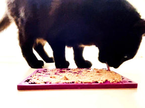 Enrichment Dog Lick Mat - Fishy Design - Southern Agriculture 
