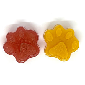 SodaPup - Dogtastic Jelly Shots Silicone Mold - Paw Print