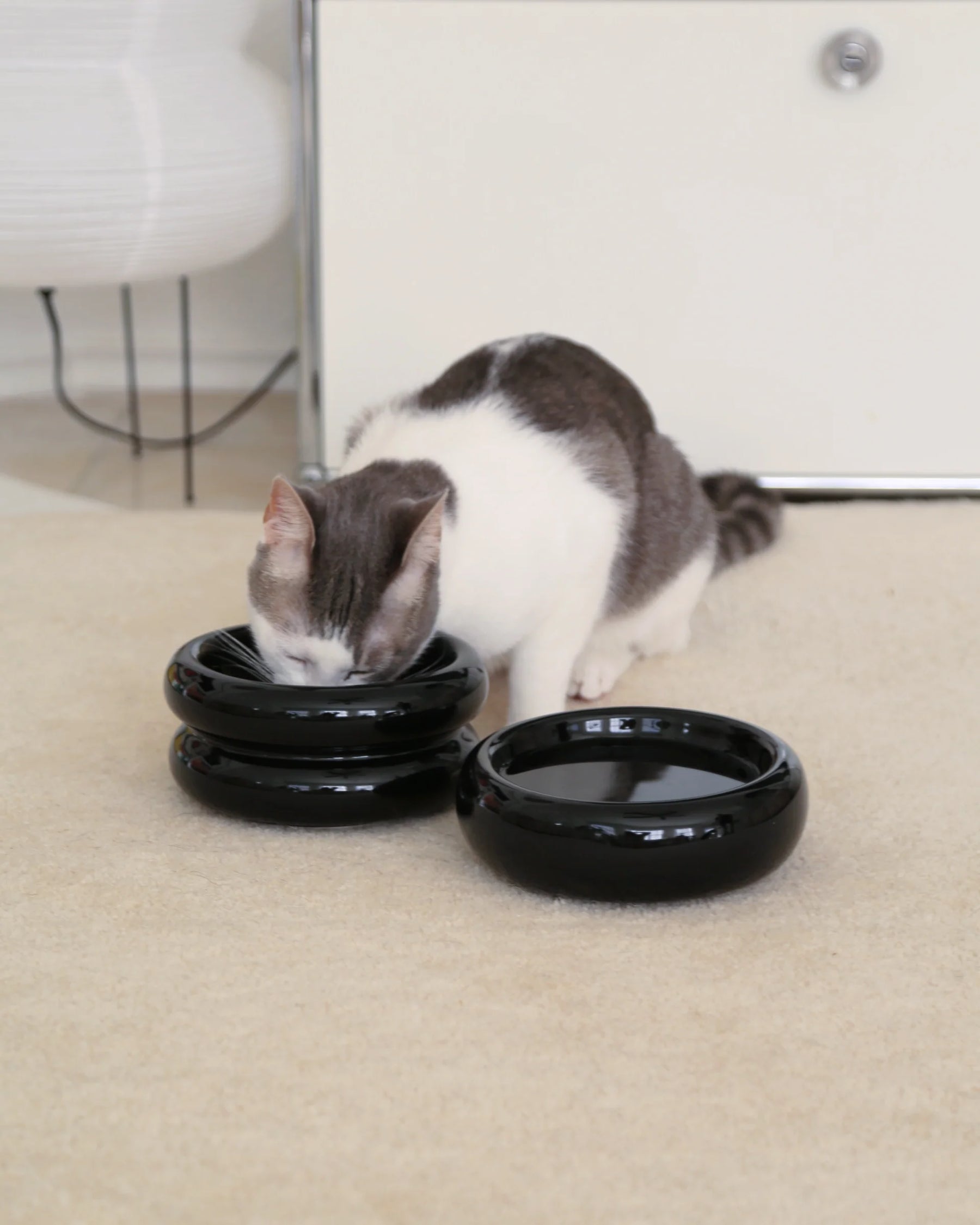 Catenary Home - Elevated Halo Pet Bowl Onyx
