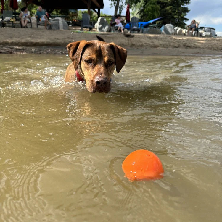 Ultra Durable PUP-X Squeak Ball