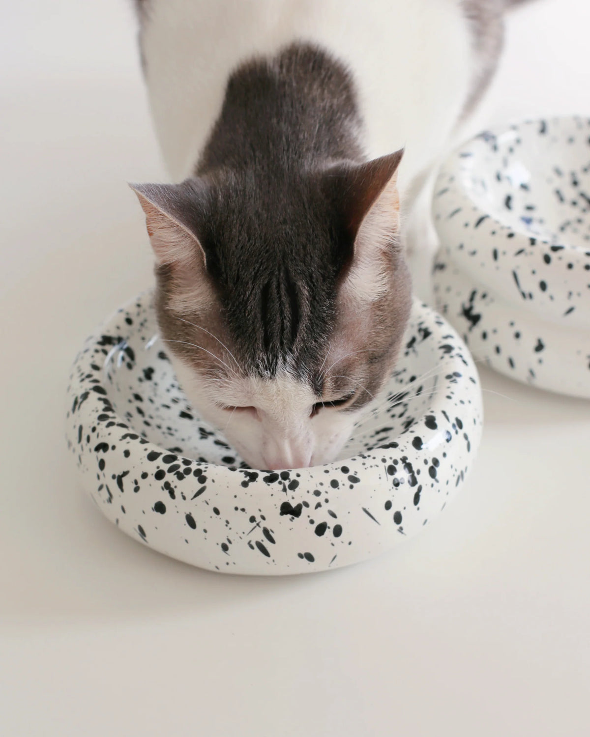 Catenary Home - Halo Pet Bowl In Ink