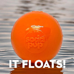 Ultra Durable PUP-X Squeak Ball