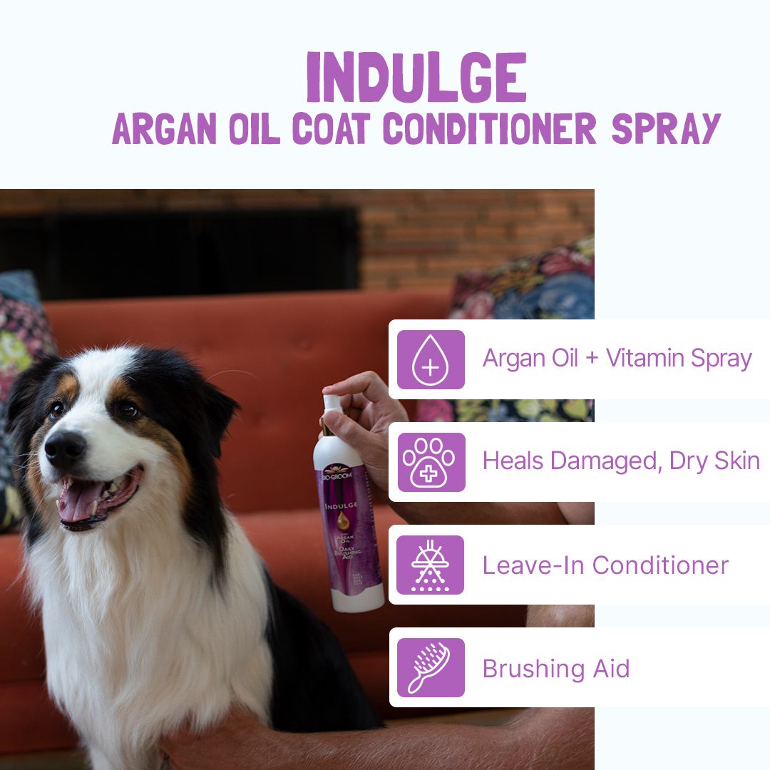 Bio-Groom - Indulge Argan Oil Dog Coat Conditioner Spray