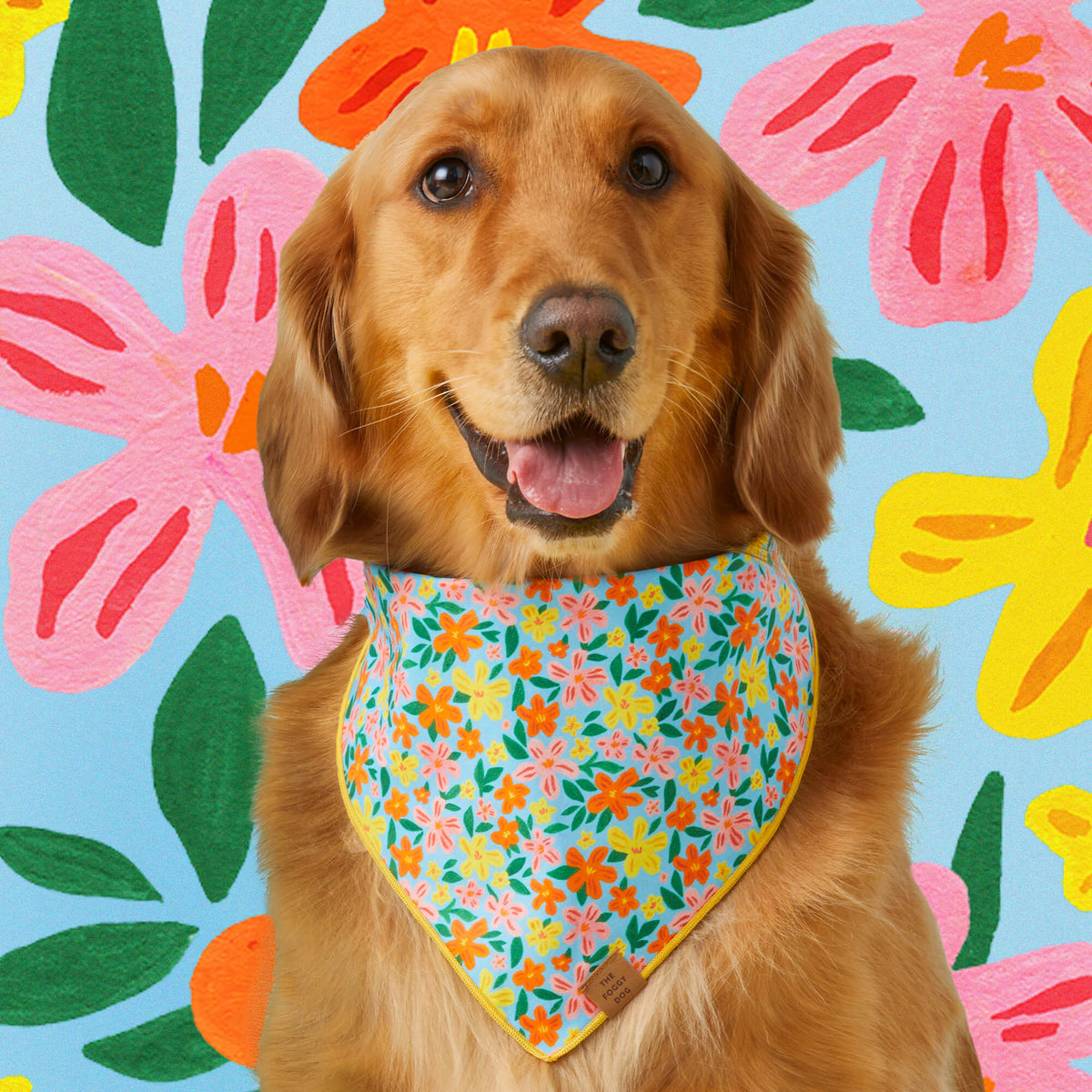 The Foggy Dog - Bandana Island Time