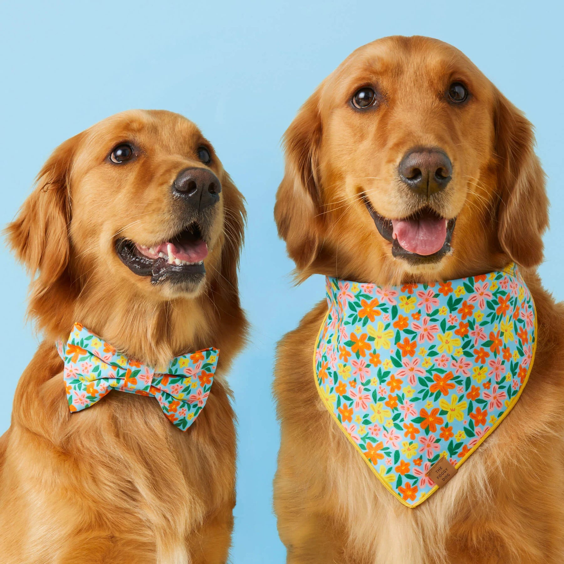 The Foggy Dog - Bandana Island Time