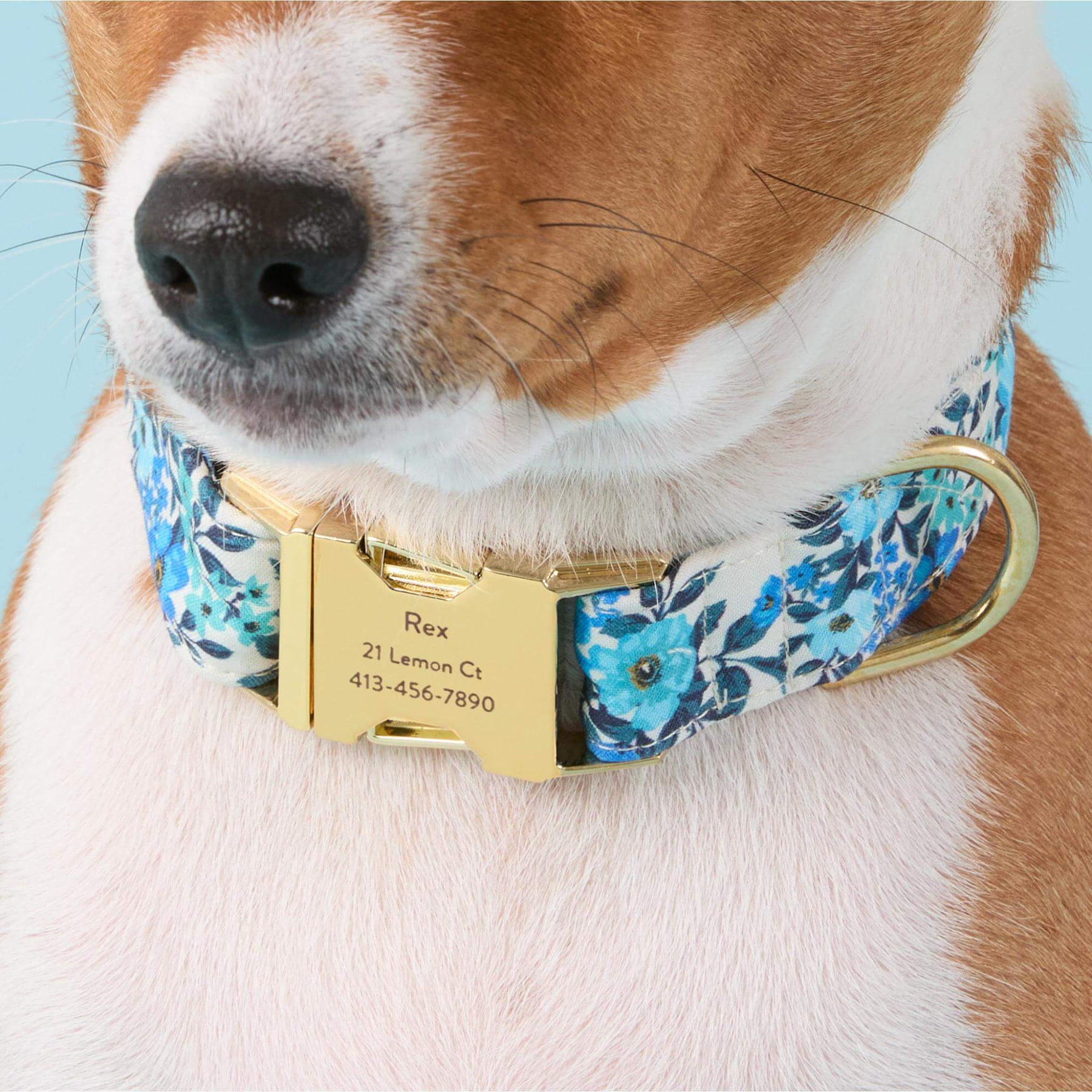 Foggy Dog - Dog Collar Jardin