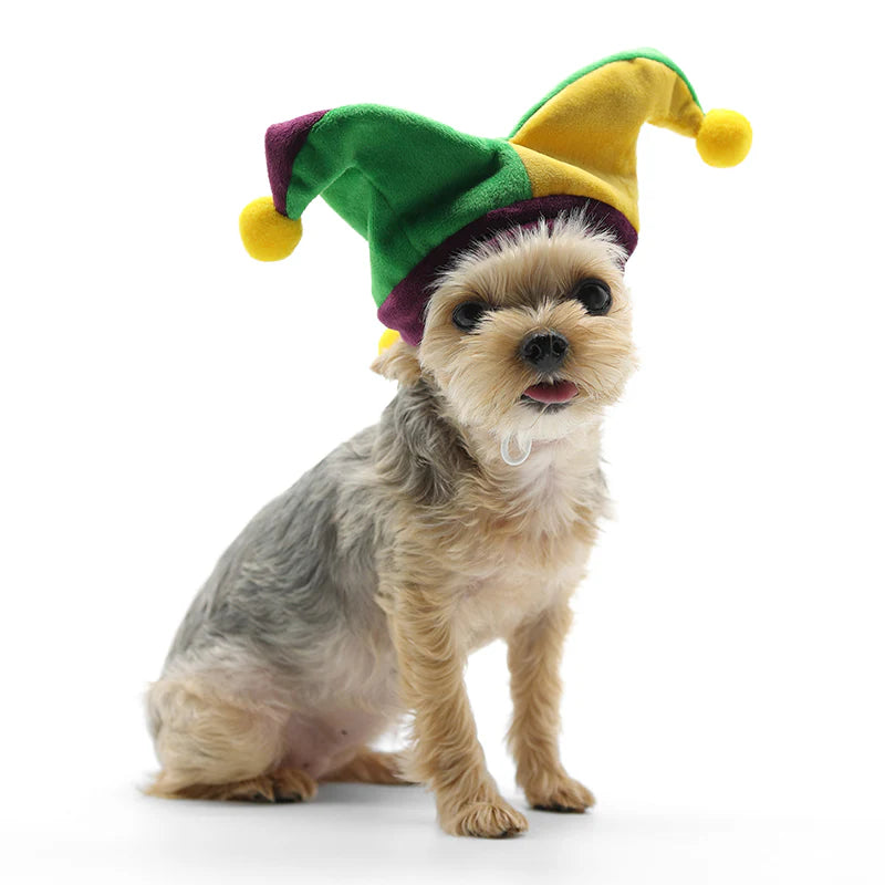 Dogo Pet - Joker Hat