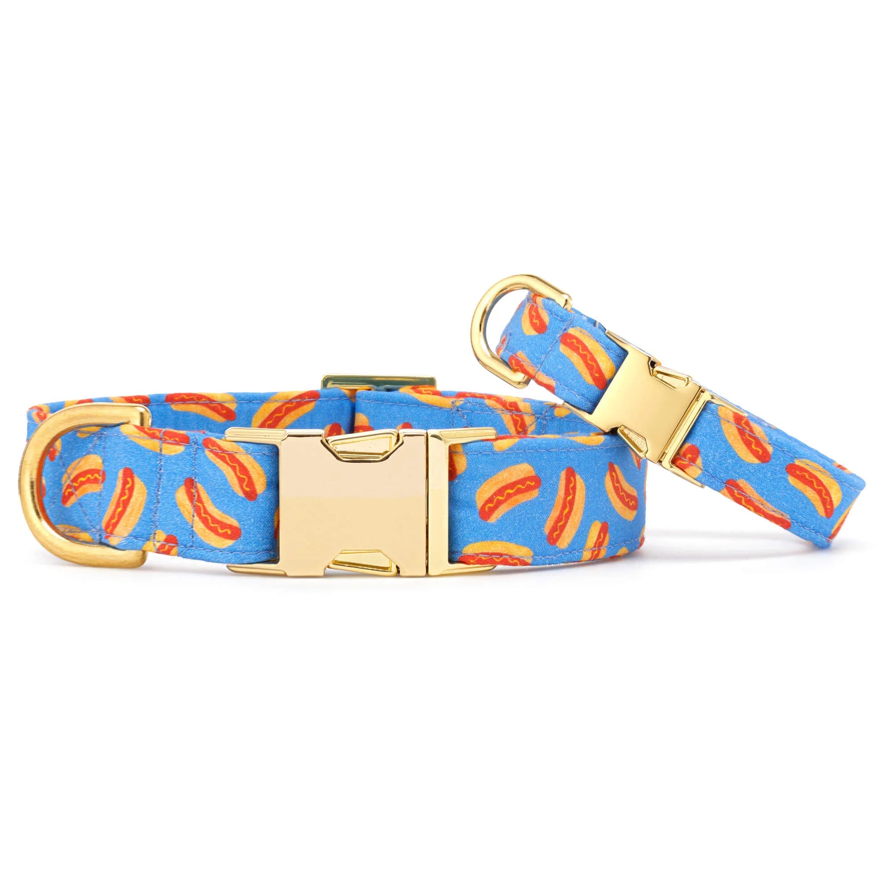 The Foggy Dog - Dog Collar Hot Diggity Dog
