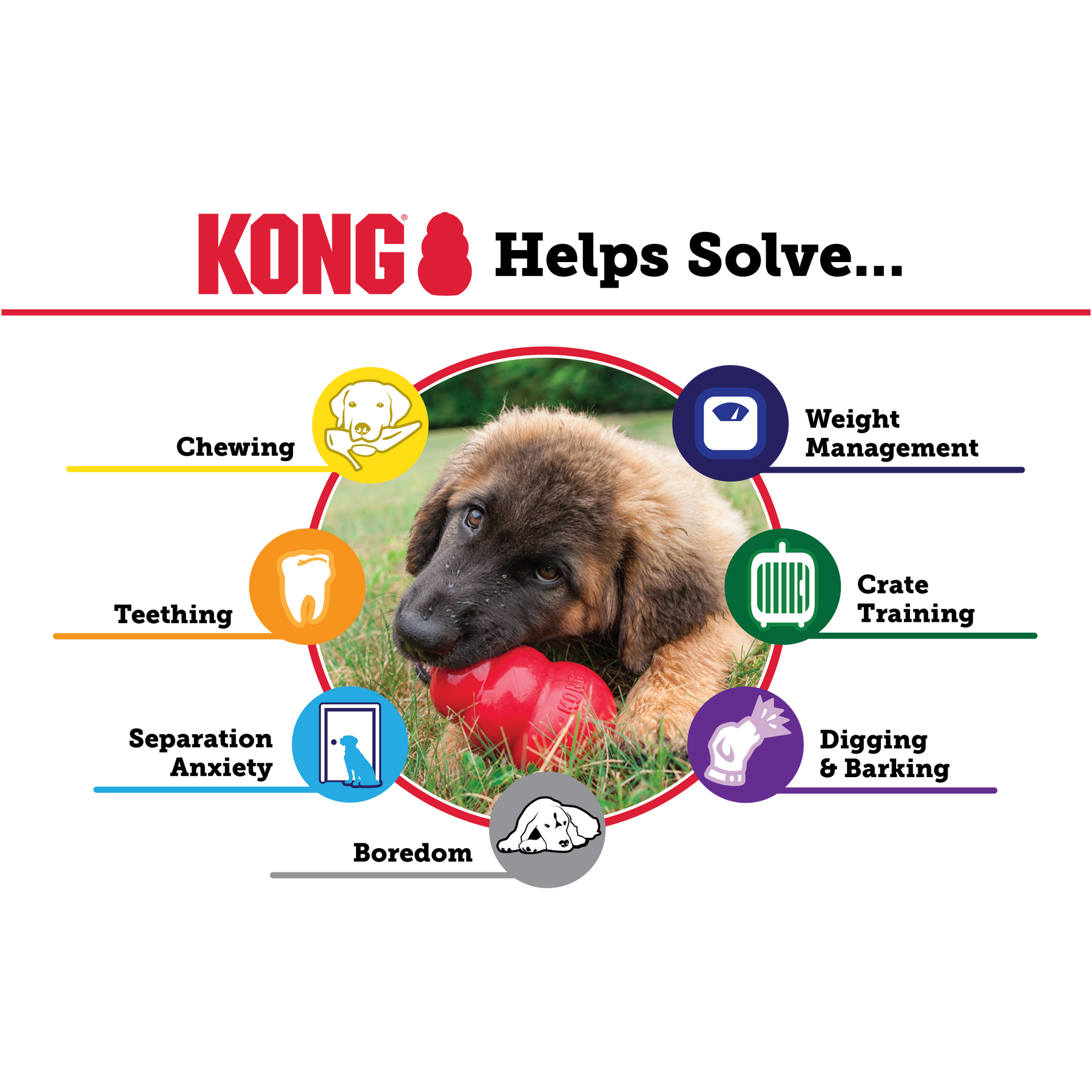 KONG - SENIOR Gentle Rubber Formula - Southern Agriculture 