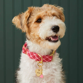 The Foggy Dog - Dog Collar Katherine Plaid