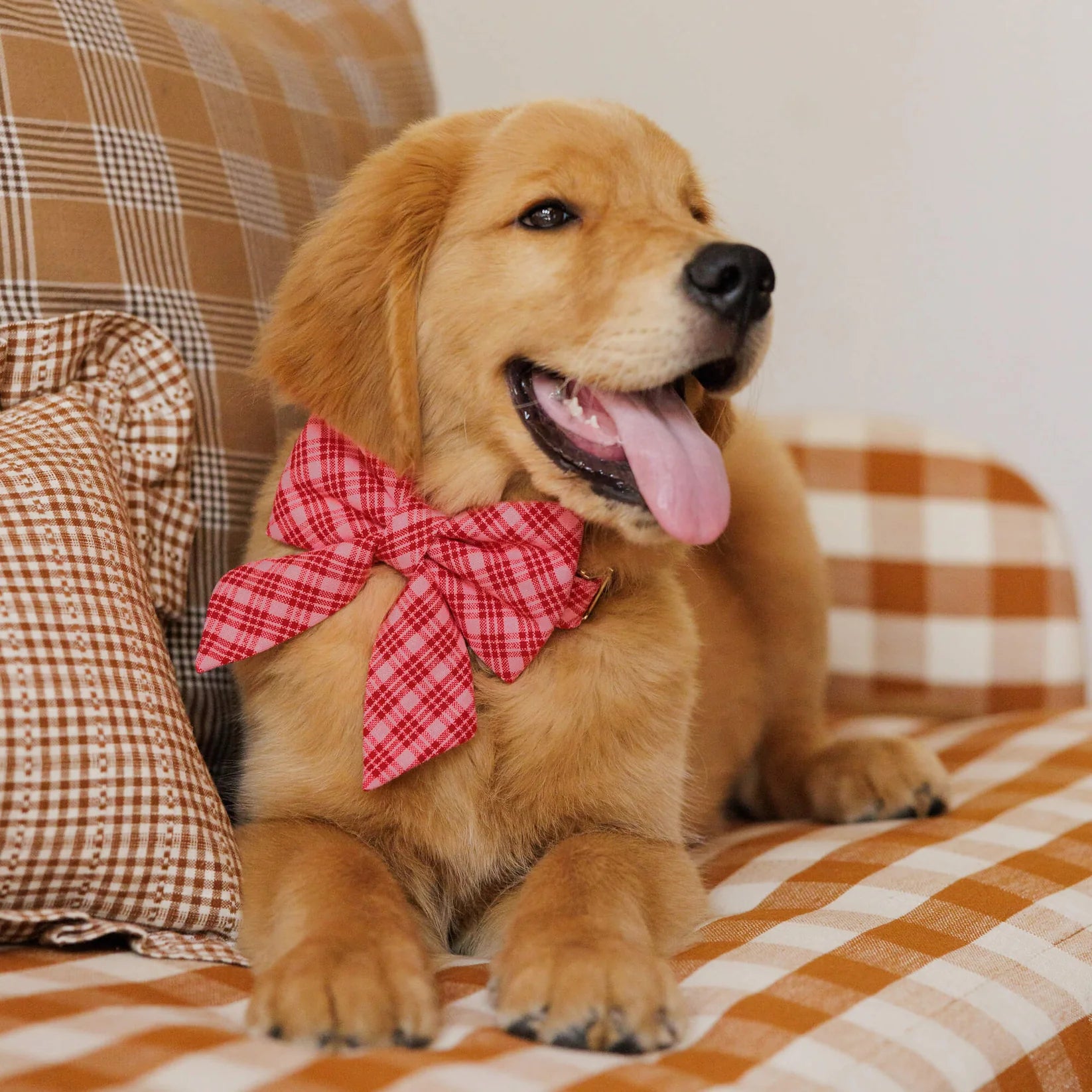 The Foggy Dog - Lady Dog Bow Katherine Plaid