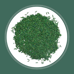 Pennington - Grass Seed Kentucky 31 Tall Fescue