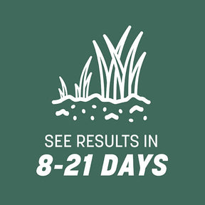 Pennington - Grass Seed Kentucky 31 Tall Fescue